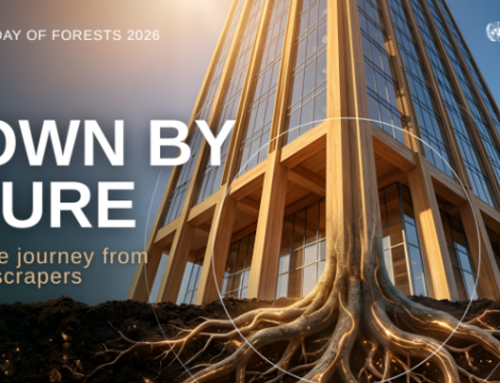 UNECE event “Grown by Nature: A 360° online journey from trees to skyscrapers.”