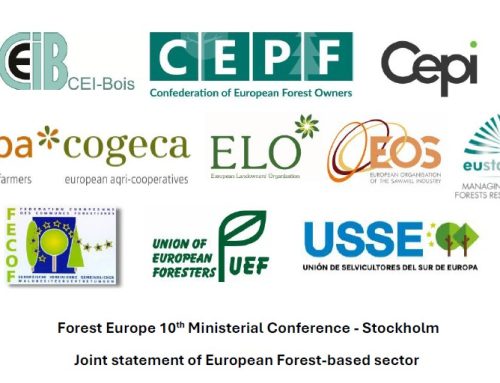 Forest Europe 10th Ministerial Conference – Stockholm Joint statement of European Forest-based sector